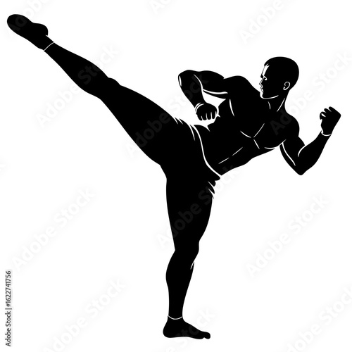 Black silhouette kickboxer performing high kick white