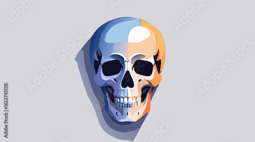Stylized graphic art of a human skull with dual color lighting. Modern vector illustration concept of mortality and anatomy.