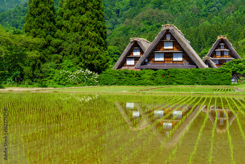 白川郷