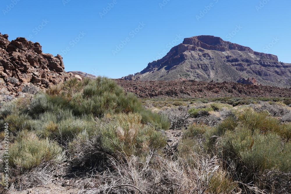 Halbwüste und Berge im Las Cañadas auf Teneriffa Kanarische Inseln Halbwüste und Berge im Las Cañadas auf Teneriffa Kanarische Inseln