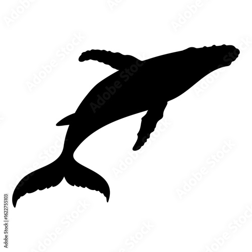 Whale silhouette swimming with raised flipper