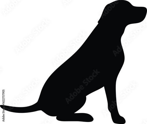 Black background Keywords: black, dark, solid, plain, empty, background, texture, abstract, simple, monochrome, deep, shadow, void, absence, nothing, space, backdrop, surface, opaque, flat