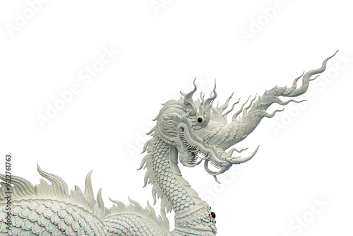 naga big kind snake on white background 