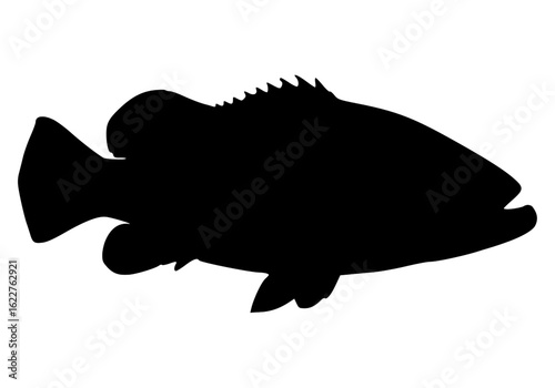 Vector Silhouette Of A Goliath Grouper Fish.