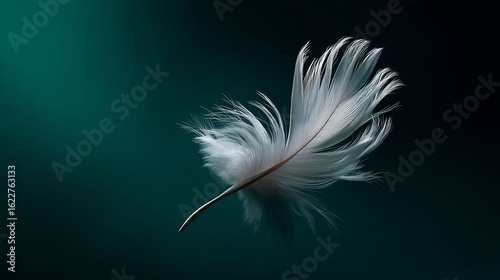Single white feather floating gently against a dark teal and black background