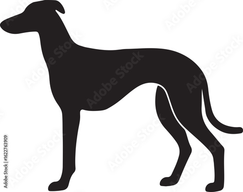 Graceful greyhound silhouette embodies speed and elegance in a timeless design Isolated black vector.