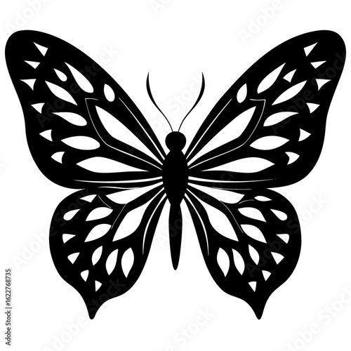 Detailed black and white butterfly with intricate wing patterns and delicate antennae design element vector