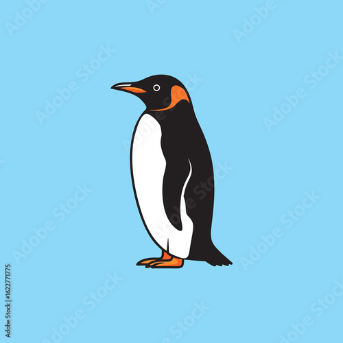 penguin of blue sky