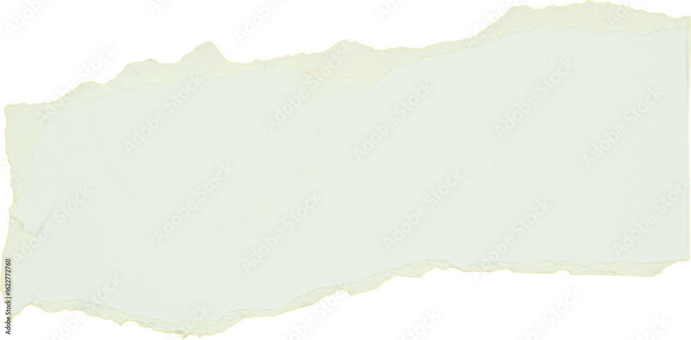 Fototapeta premium Hand Torn light green paper texture isolated on white background for creative design and stationery applications