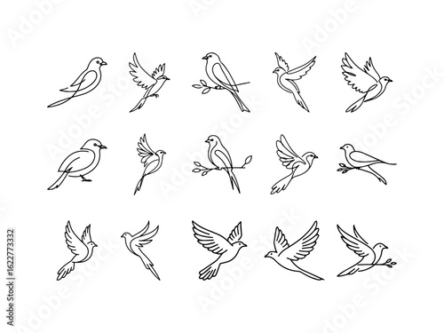 Set of Hand Drawn Birds Line Art Icons – Minimalist Bird Outline, Doodle Art, Vector Illustrations for Logo, Design, Nature, Wildlife