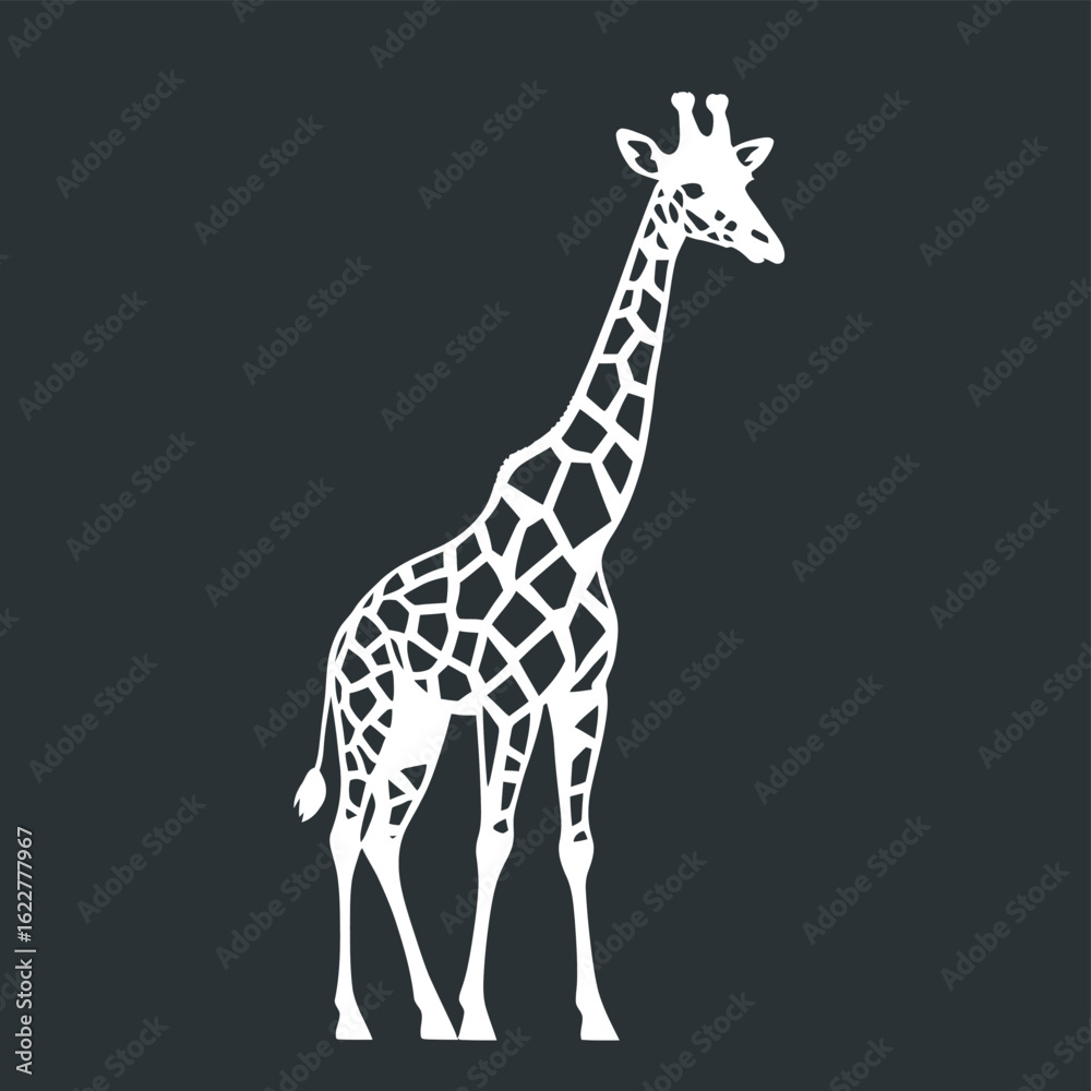 Fototapeta premium giraffe