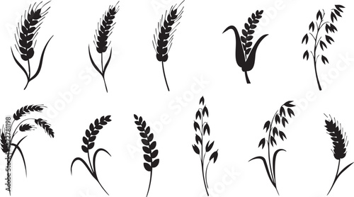 Grain and Cereal Stalk Silhouettes