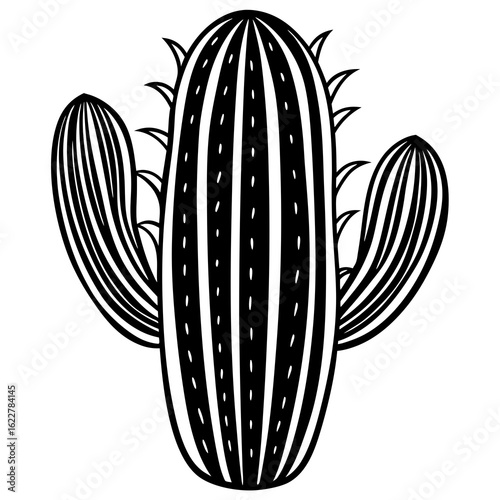 Stylized Black and White Cactus Illustration 1.