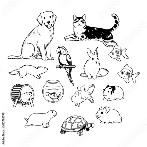 Collection of diverse domestic pets including dog cat parrot rabbit hamster guinea pig fish and turtle illustrated in black and white