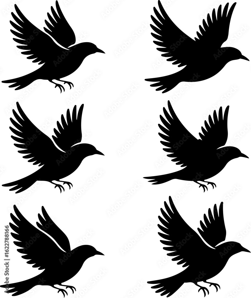 Fototapeta premium 6 unique black silhouette vector illustrations of birds in flight 