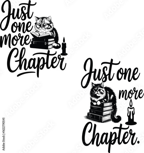 Fluffy cat reading books by candlelight chapter