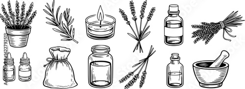 Black and white illustration of lavender plants essential oils and mortar rosemary
