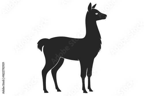 Silhouette Illustration of a Standing Llama, Isolated on White Background, Side View Depiction