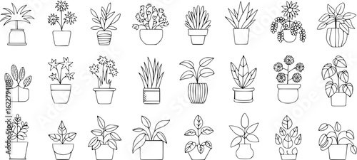 Black and white line art illustrations of potted plants houseplants botanical illustration