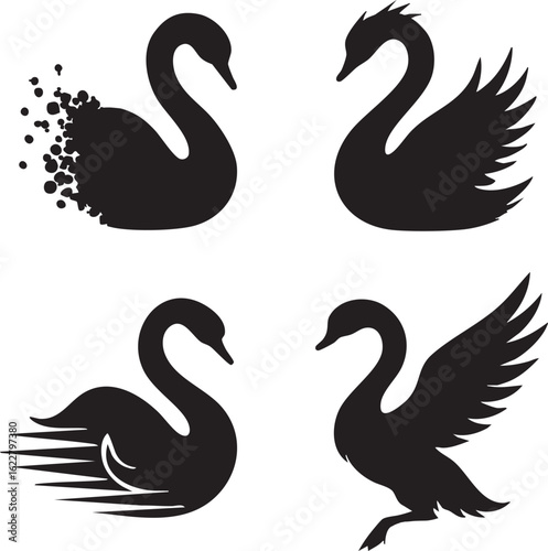 Four stylized black swan silhouettes with varied wing and tail details on white