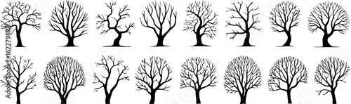 Diverse bare trees with intricate branch patterns branches silhouette