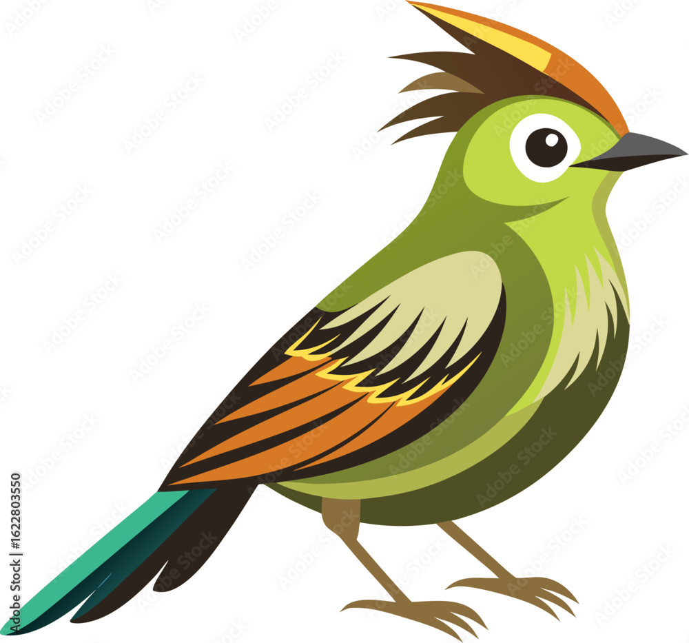 Fototapeta premium Bulbul bird