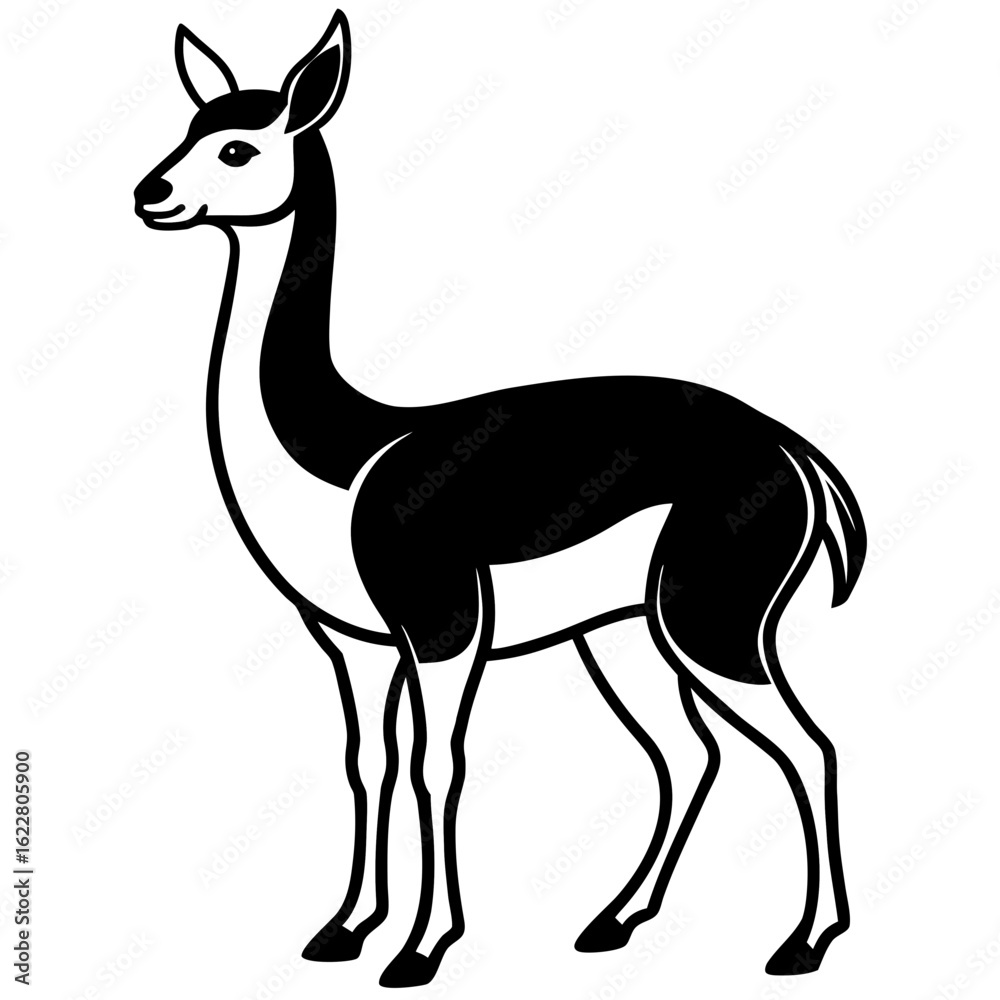 Fototapeta premium Vicuna vector silhouette black design white background