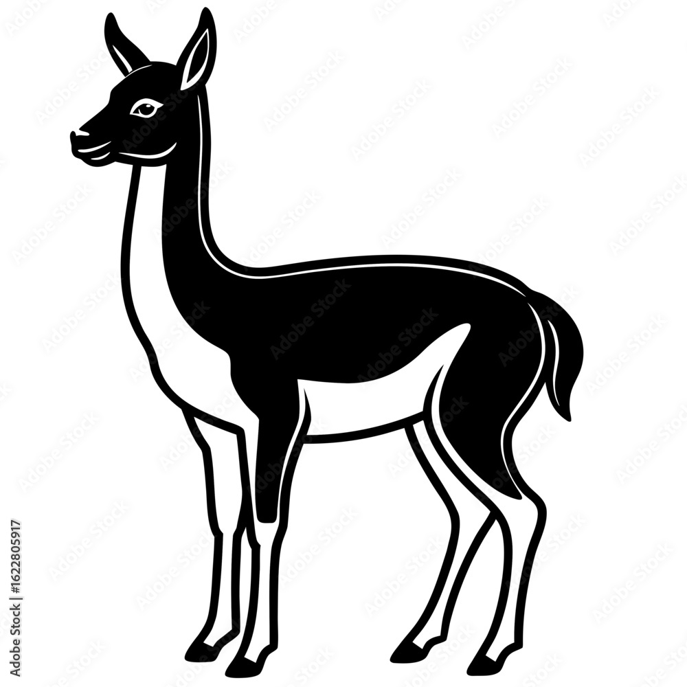 Fototapeta premium Vicuna vector silhouette black design white background