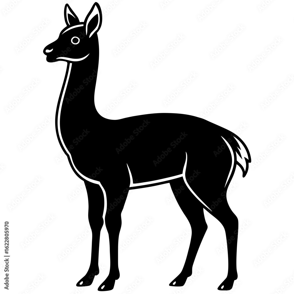 Vicuna vector silhouette black design white background Vicuna vector silhouette black design white background