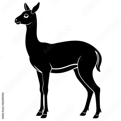 Vicuna vector silhouette black design white background