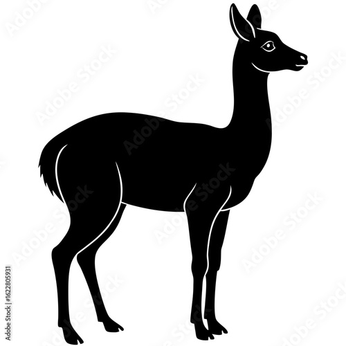 Vicuna vector silhouette black design white background