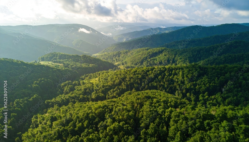 Naklejka premium Lush mountain valley at dawn