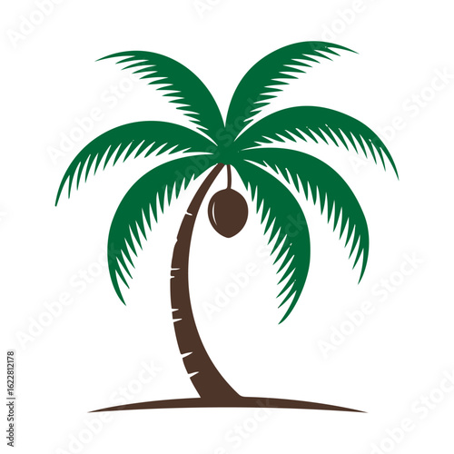 Vector illustration of a coconut Tree