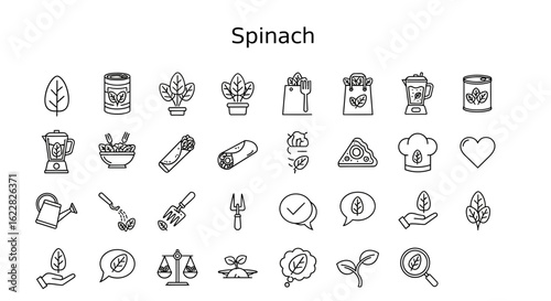 Spinach Icons: Solid Black Collection of Leafy Greens and Superfoods