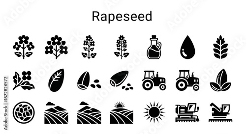 Rapeseed Icons: Solid Black Symbols for Oilseed and Agriculture