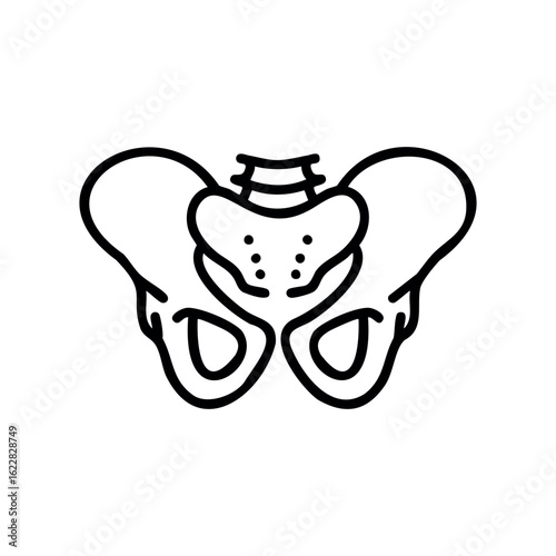 Human pelvis icon illustration with black outline on white – stock vector icon in line style