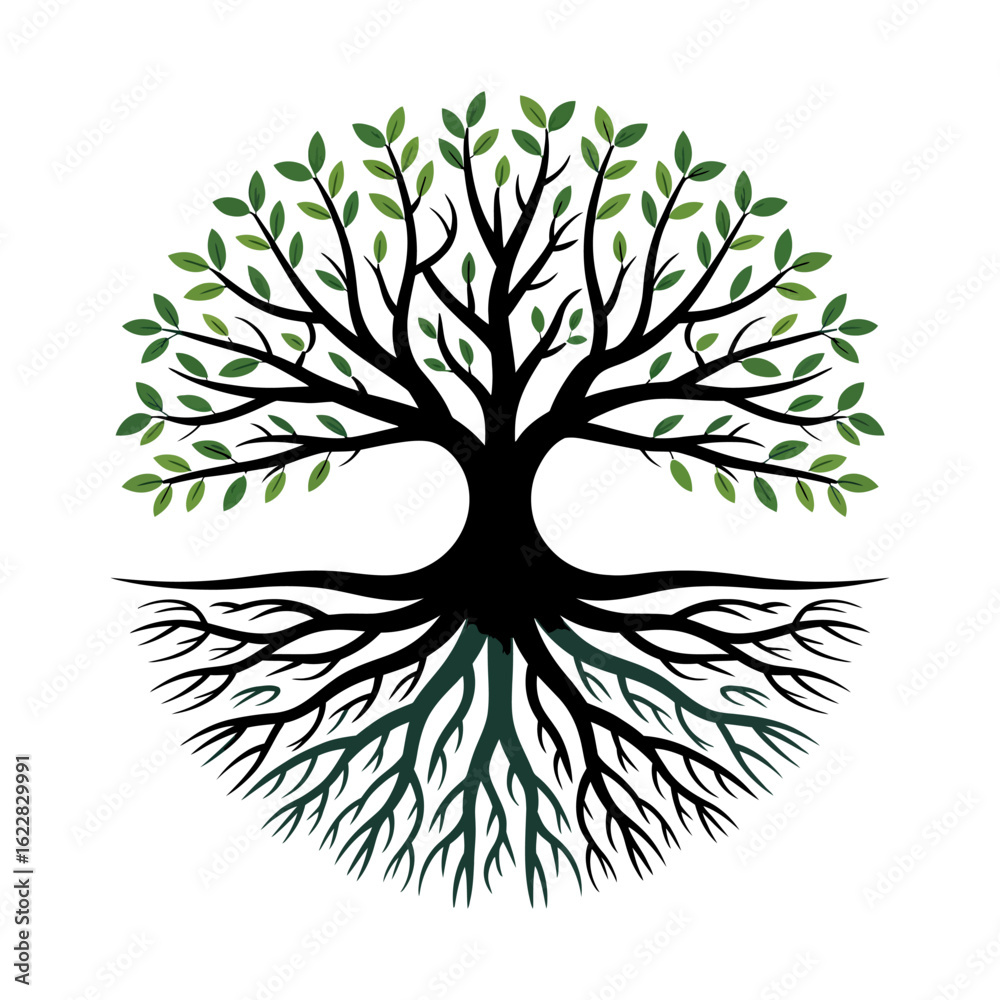 Naklejka premium Tree and Tree root vector , green tree illustration