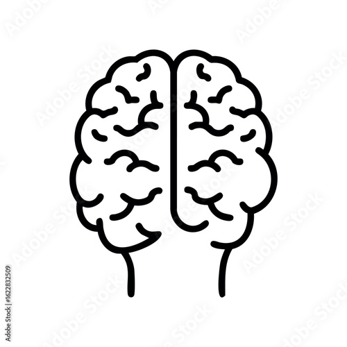Line art anatomical human brain illustration with bisection detail – stock vector icon in line style