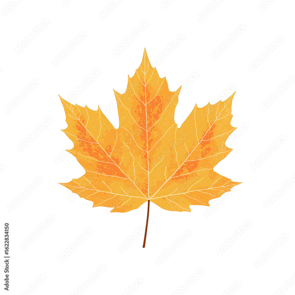 Fototapeta premium Stylized Maple Leaf Silhouette with Subtle Vein Texture on White Background