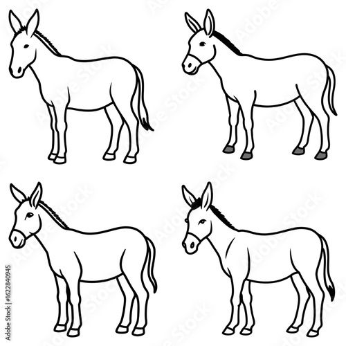 Four outlined donkeys standing side by side in a grid pattern with simple black and white details shown