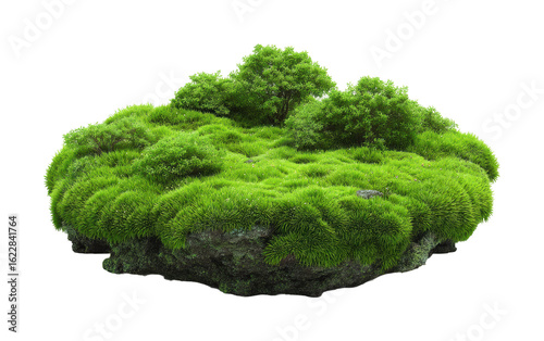 Lush greenery landscape nature scene vibrant plants isolated on transparent background, png