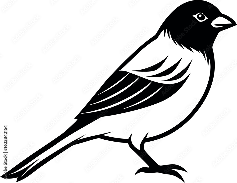 Fototapeta premium Black and White Vector Illustration of a Small Bird Perched on a Branch
