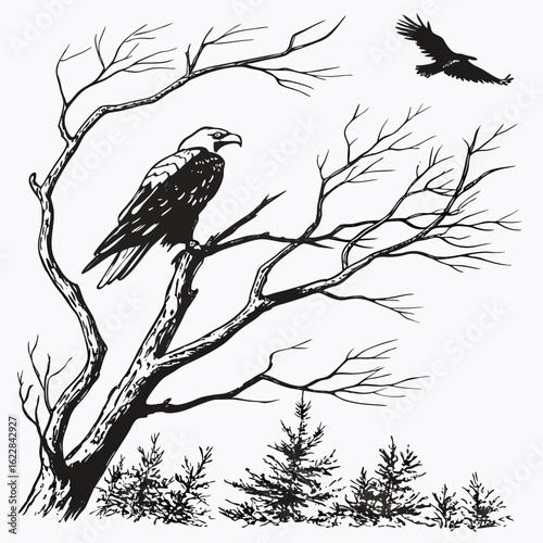 Eagle perched on a bare tree branch with another eagle flying above