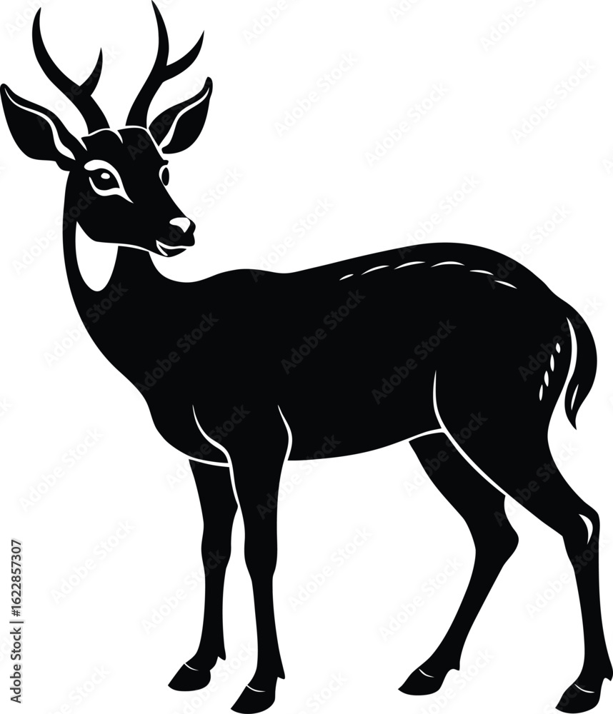 Fototapeta premium Black silhouette of a muntjac deer standing on white background vector