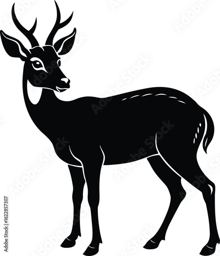 Black silhouette of a muntjac deer standing on white background vector