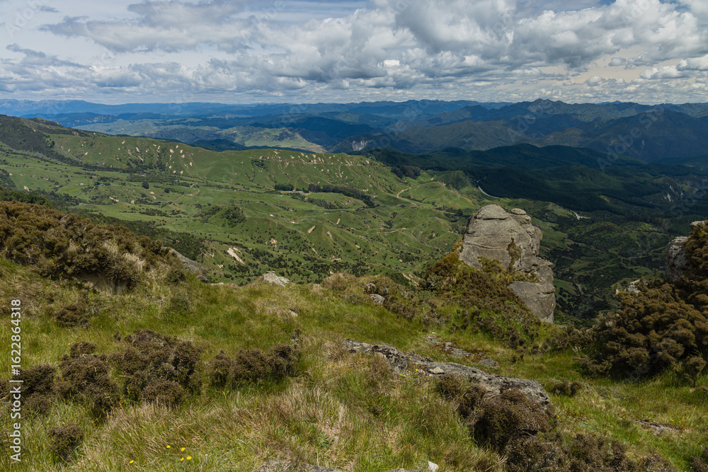 Obraz premium ニュージーランド ホークス・ベイのトゥティラにあるベル・ロック・ループ・トラックから見える風景