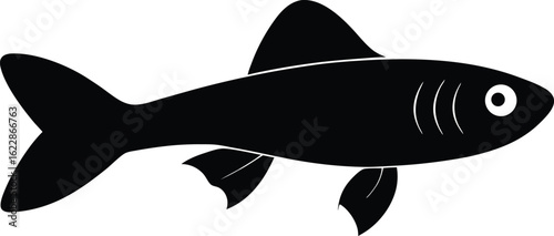 Un dessin animé mignon de mammifères marins: une baleine et un dauphin, illustrant la faune aquatique de l'océan bleu