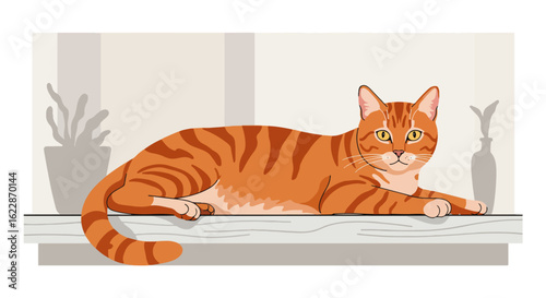 Orange tabby cat resting on a windowsill with potted plants on either side