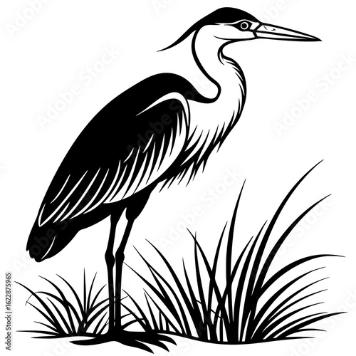 Stylized Black and White Heron Standing in Grass 1.