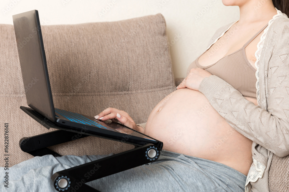Fototapeta premium Pregnant woman using laptop in sofa at home